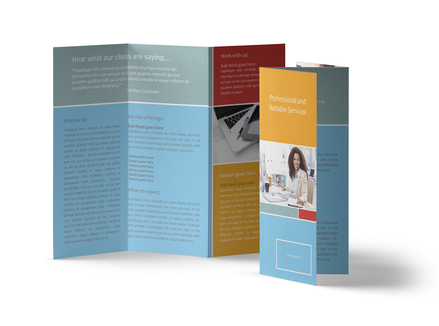 Professional Services Brochure